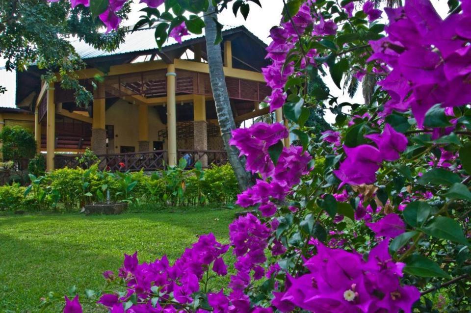 Crystal Paradise Resort Spa & Winery Narra Екстер'єр фото